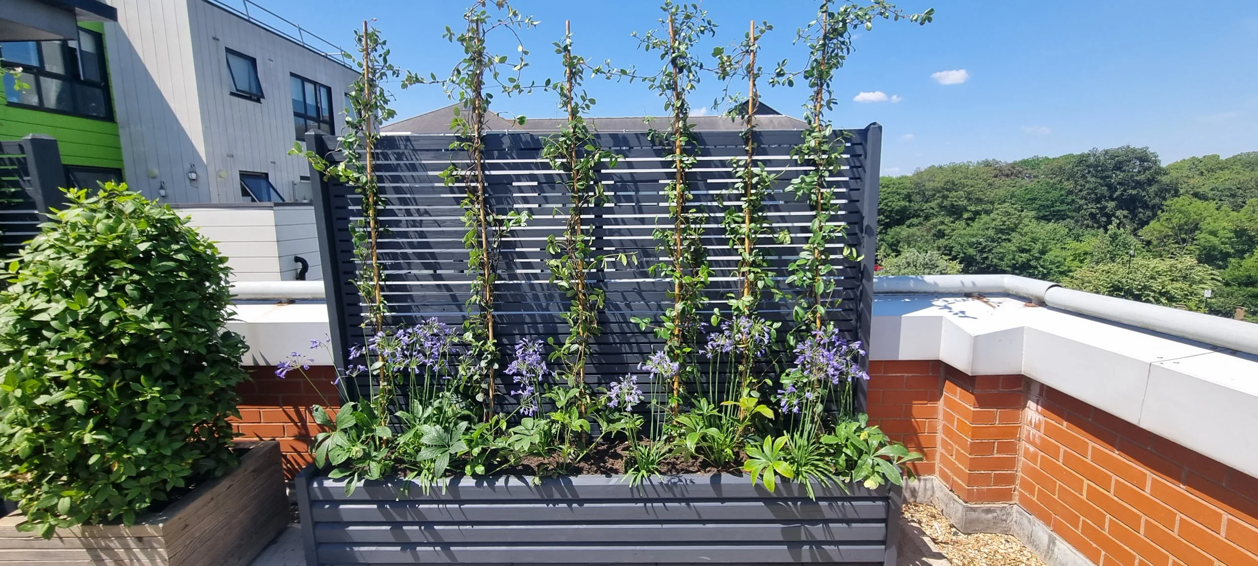 Stewarts_Interior Landscaping_Plants_Workspaces_Outside Planting-27.jpg