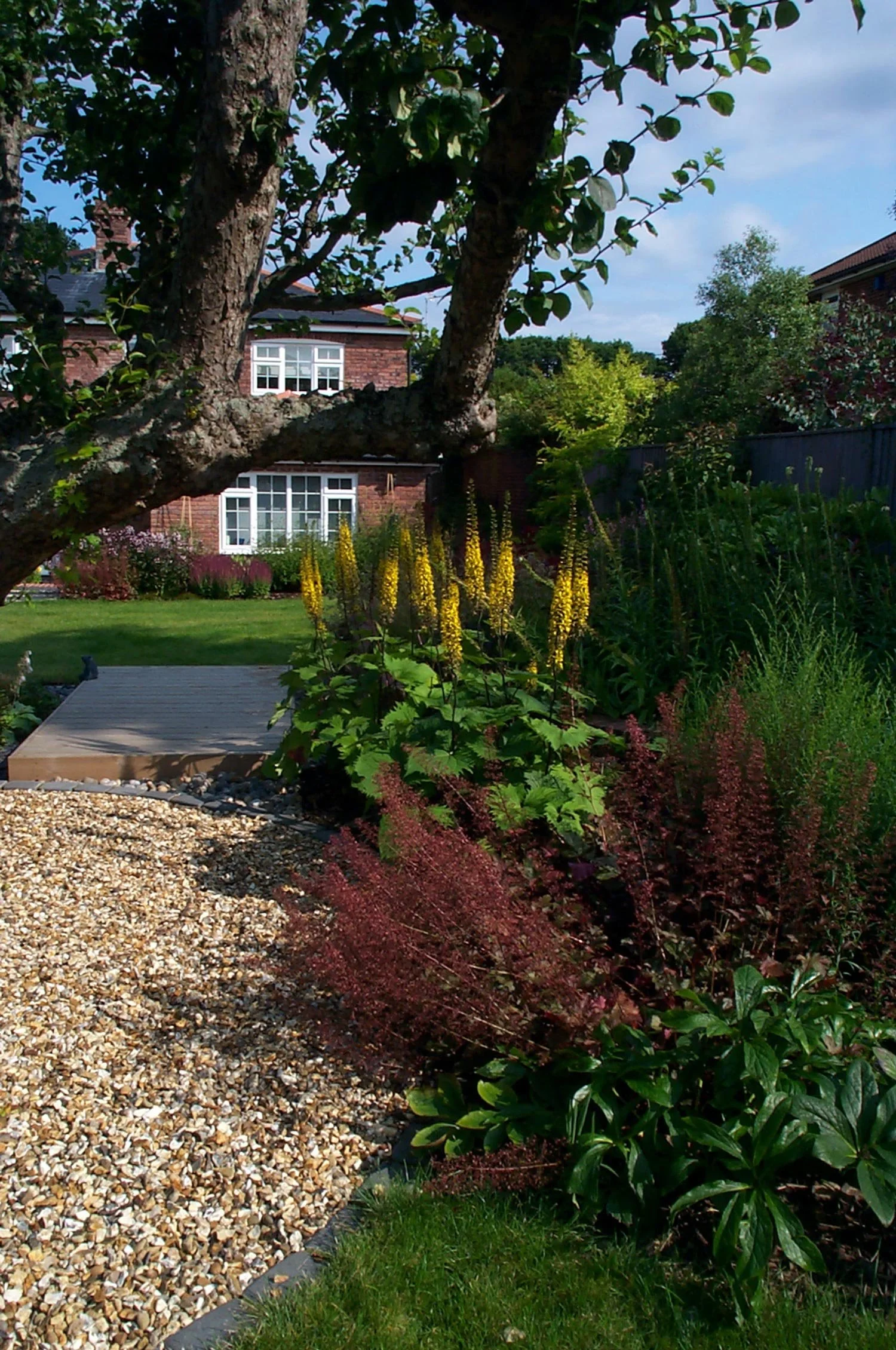 A lush garden scene with a large tree in the foreground, flowering plants, shrubs, and a wooden deck, with a brick house with multiple windows in the background and a blue sky overhead.