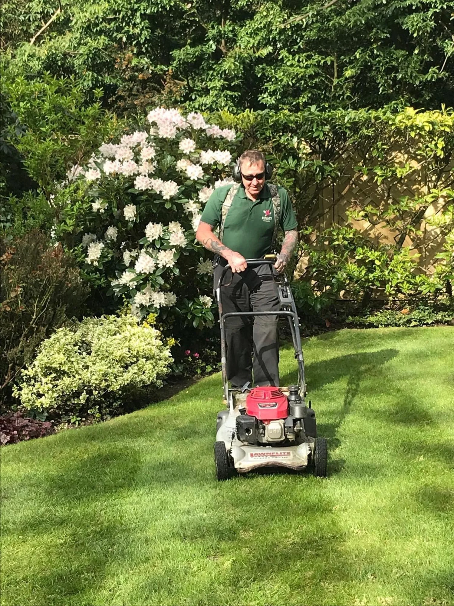 A man with tattoos wearing sunglasses, a green polo shirt, and black pants pushes a lawn mower across a lush green lawn in a garden with shrubs and flowering plants, including white rhododendrons.