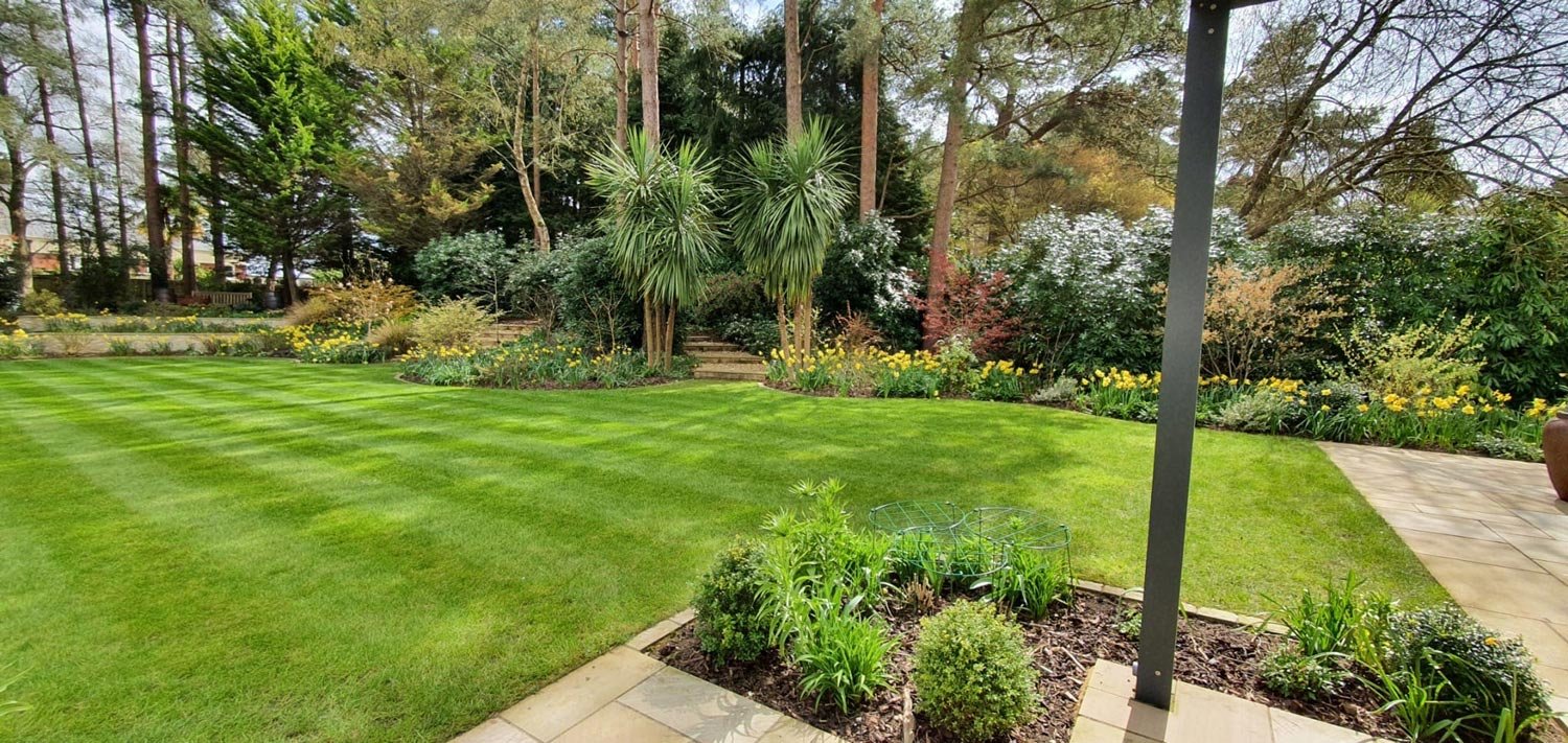 A lush green backyard garden with a well-maintained lawn, surrounded by various flowering plants, shrubs, and tall trees, with a stone pathway on the right side.