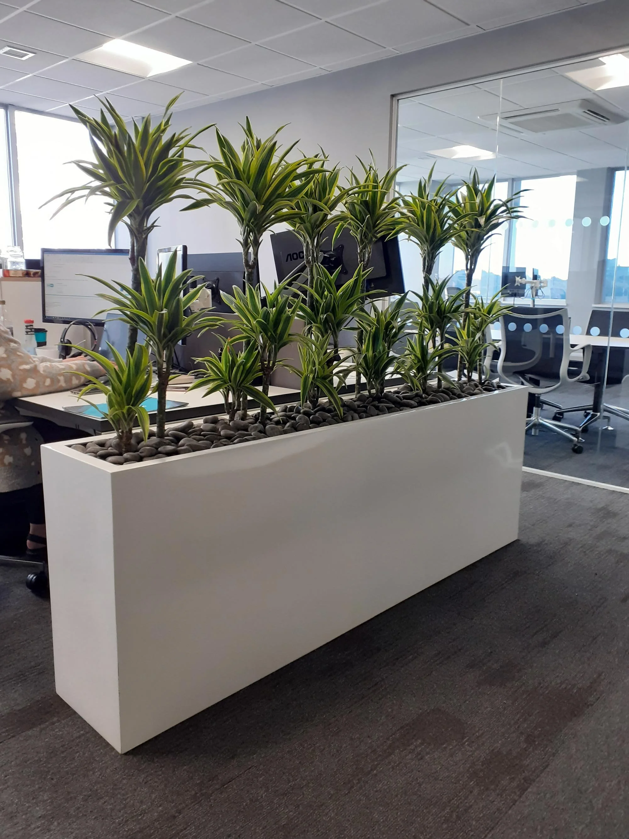 Indoor office space with a large white rectangular planter filled with tall green leafy plants and smooth black stones, partitioning workstations, with computers and office chairs visible in the background.