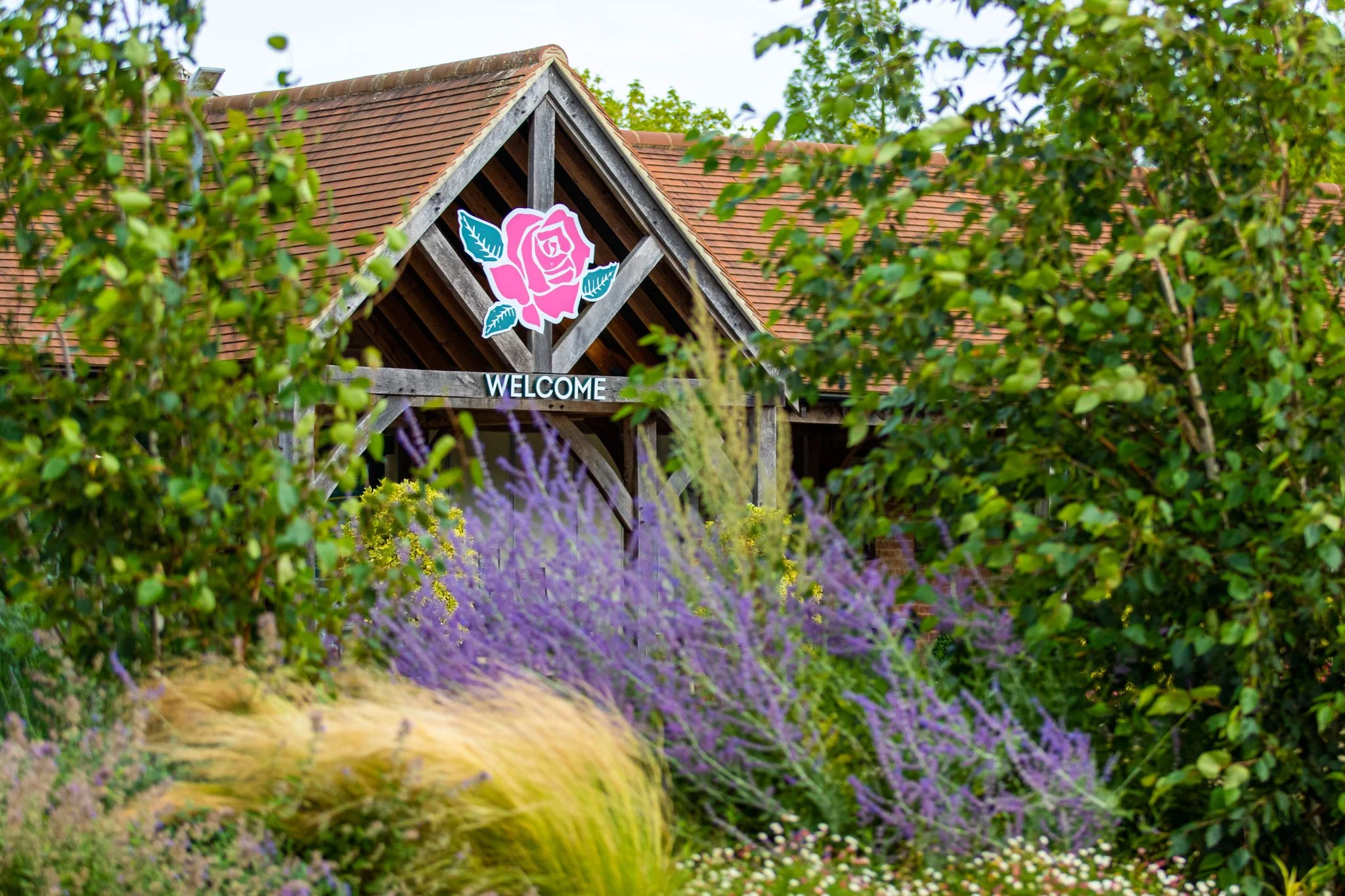 Stewarts Landscaping_Commercial Grounds Maintanance_Soft Landscaping.jpg