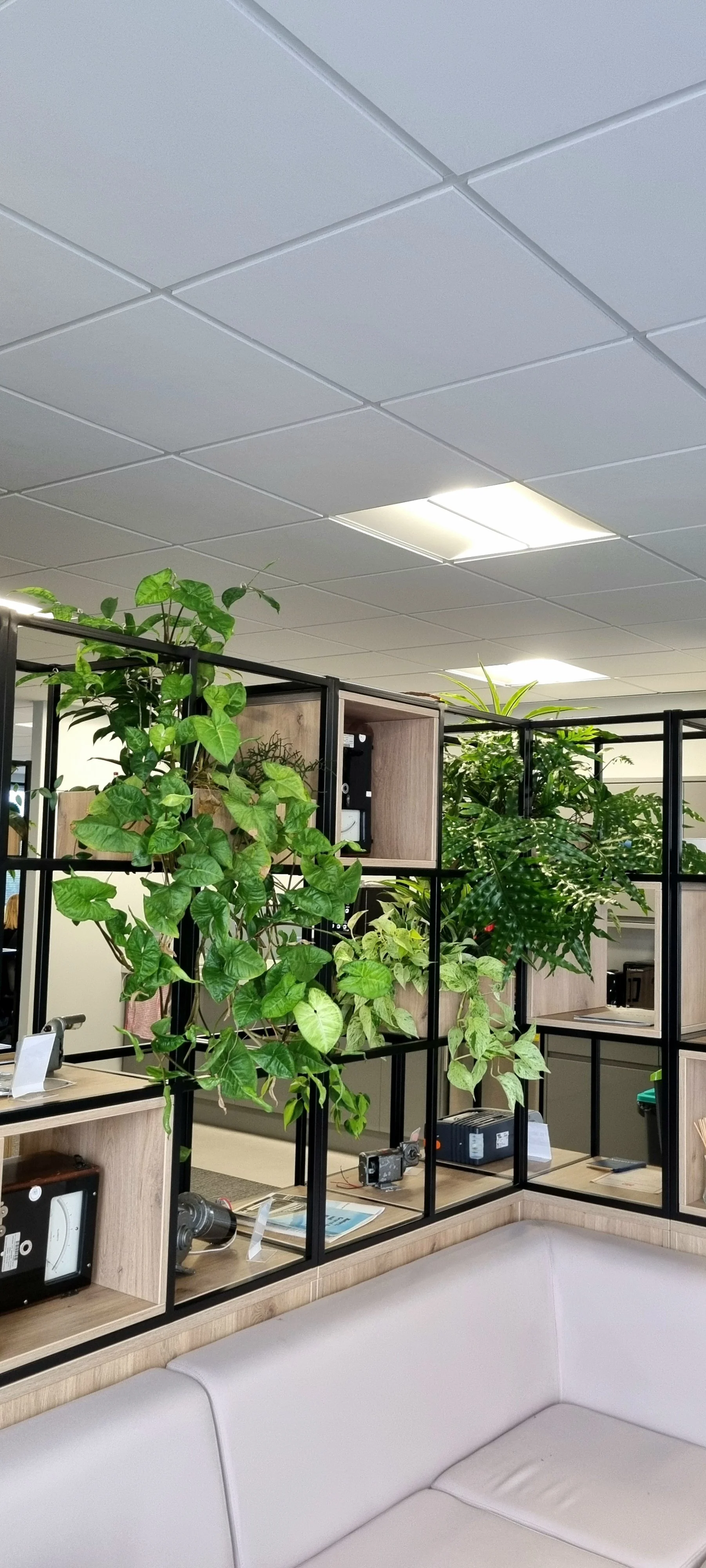 Stewarts_Interior Landscaping_Plants_Workspaces_Hanging Shelving Planting-06.jpg