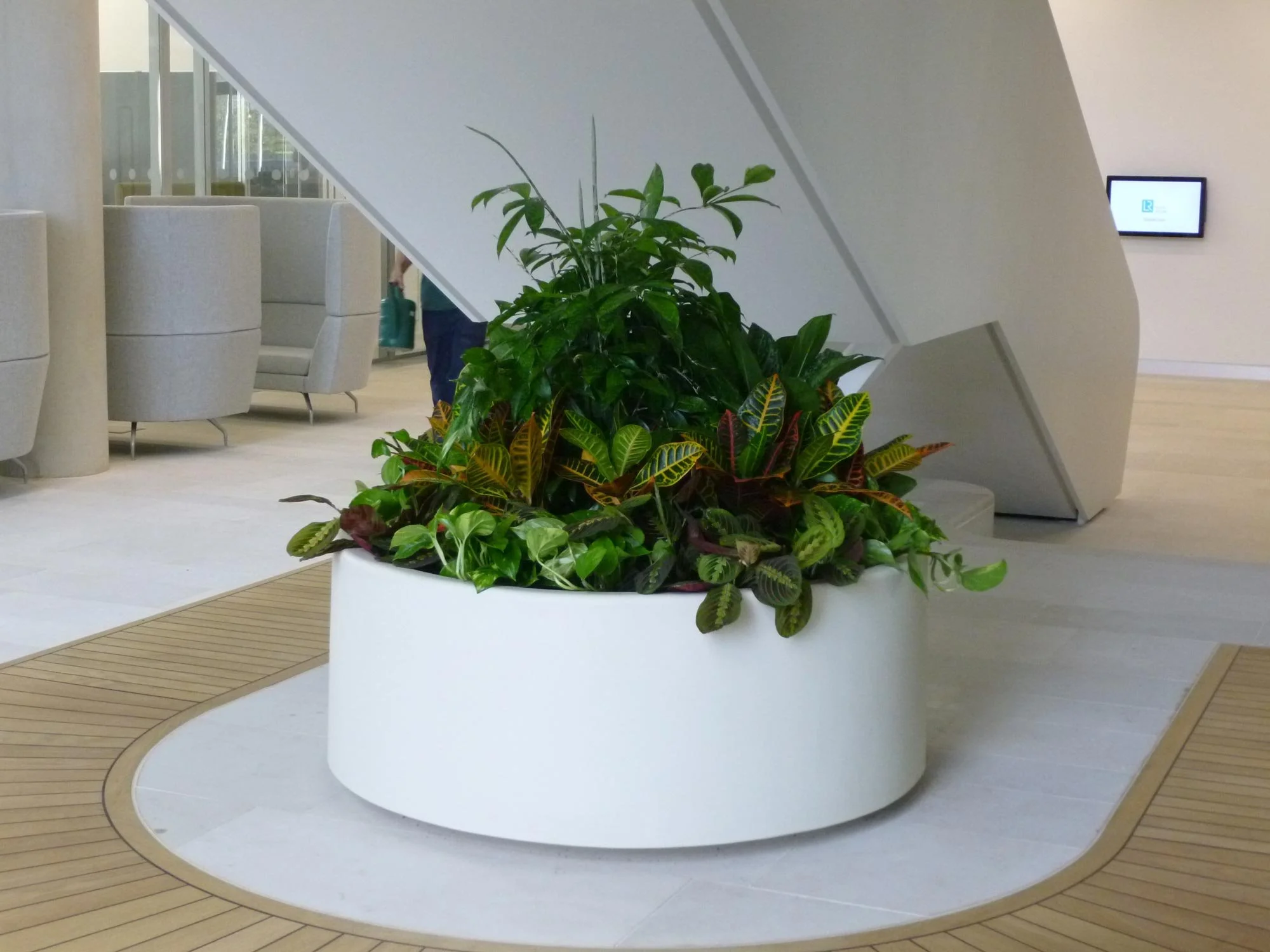Indoor plant arrangement in a white oval planter with green foliage and colorful leaves, set on a light wood and white tiled floor.