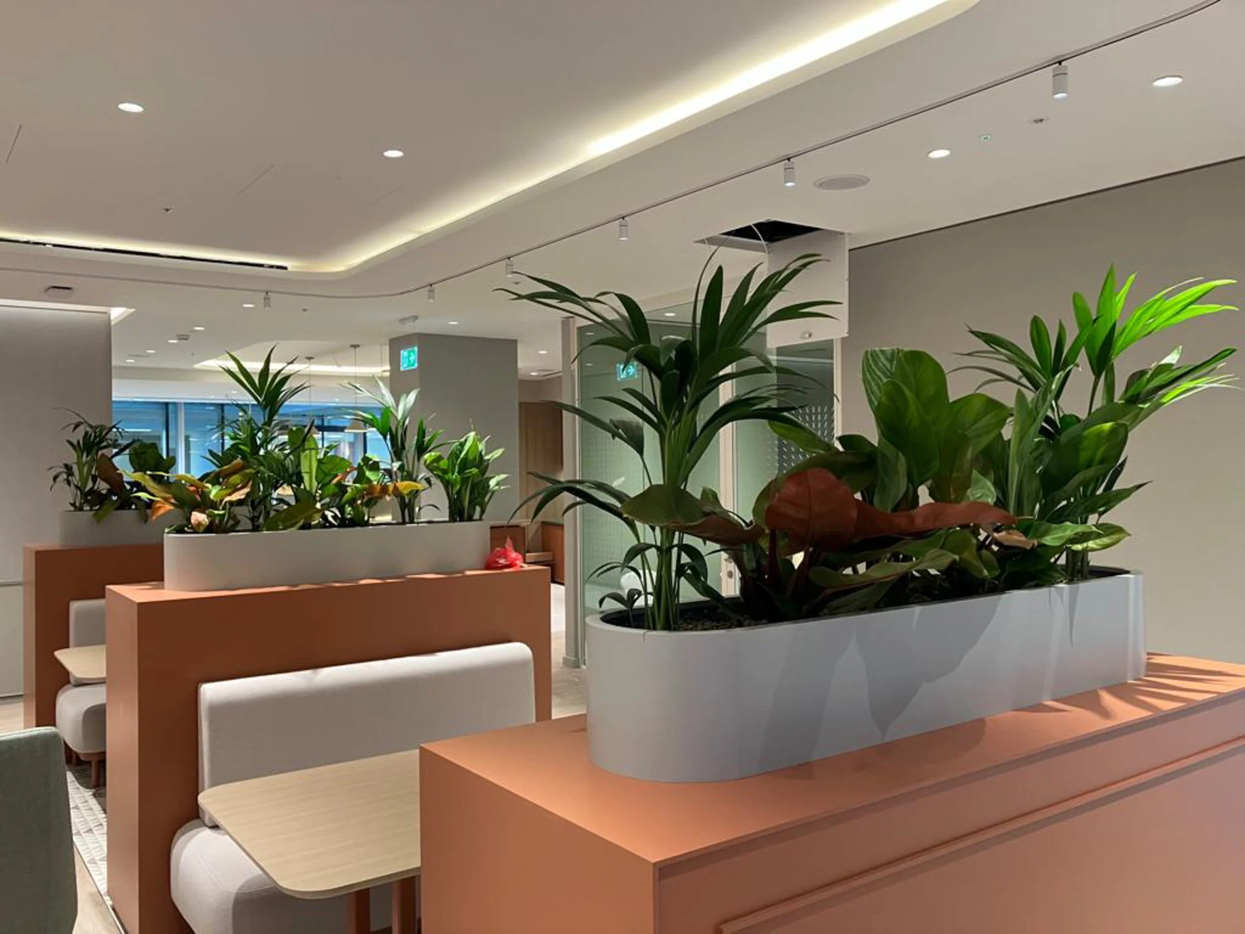 Stewarts_Interior Landscaping_Plants_Workspaces_Desk Planting-03.jpg