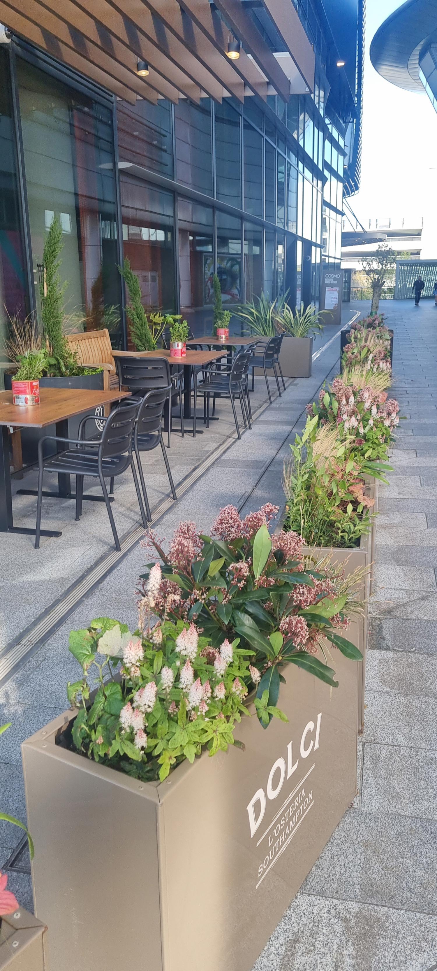 Outdoor seating area with tables and black chairs next to large planters filled with various green plants, outside a modern building with glass windows and a sidewalk decorated with flowering plants.