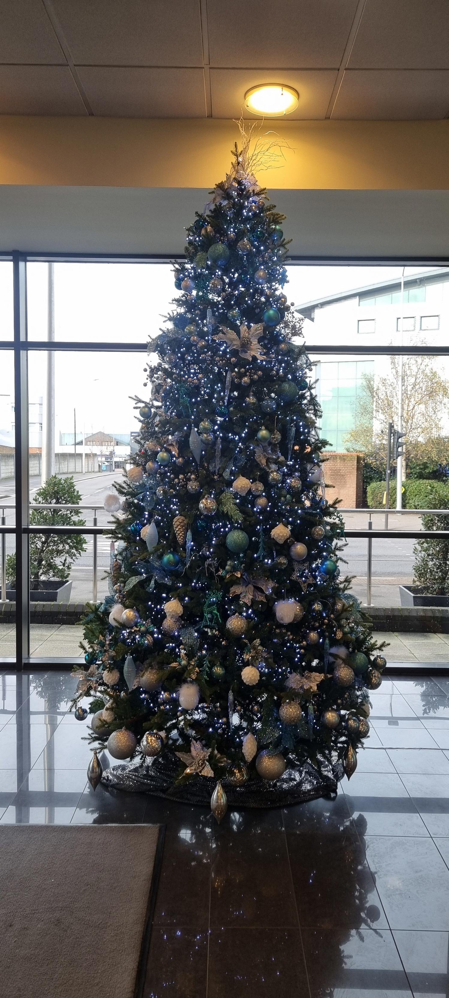 A decorated Christmas tree inside a building near large windows, lit with white and blue lights, adorned with gold, white, and blue ornaments, and topped with a decorative bow.