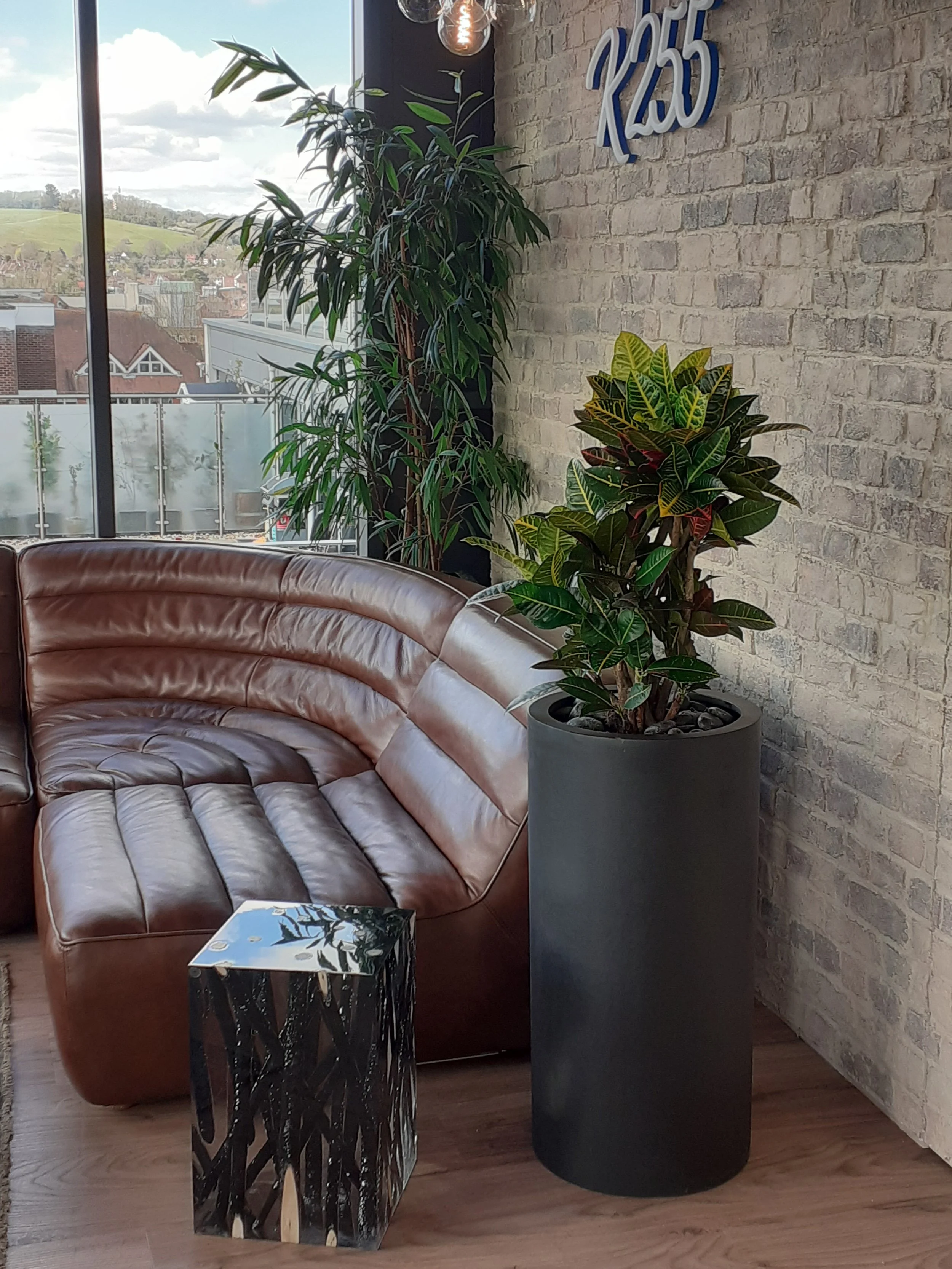 Stewarts_Interior Landscaping_Plants_Workspaces_Floor Planting-122.jpg