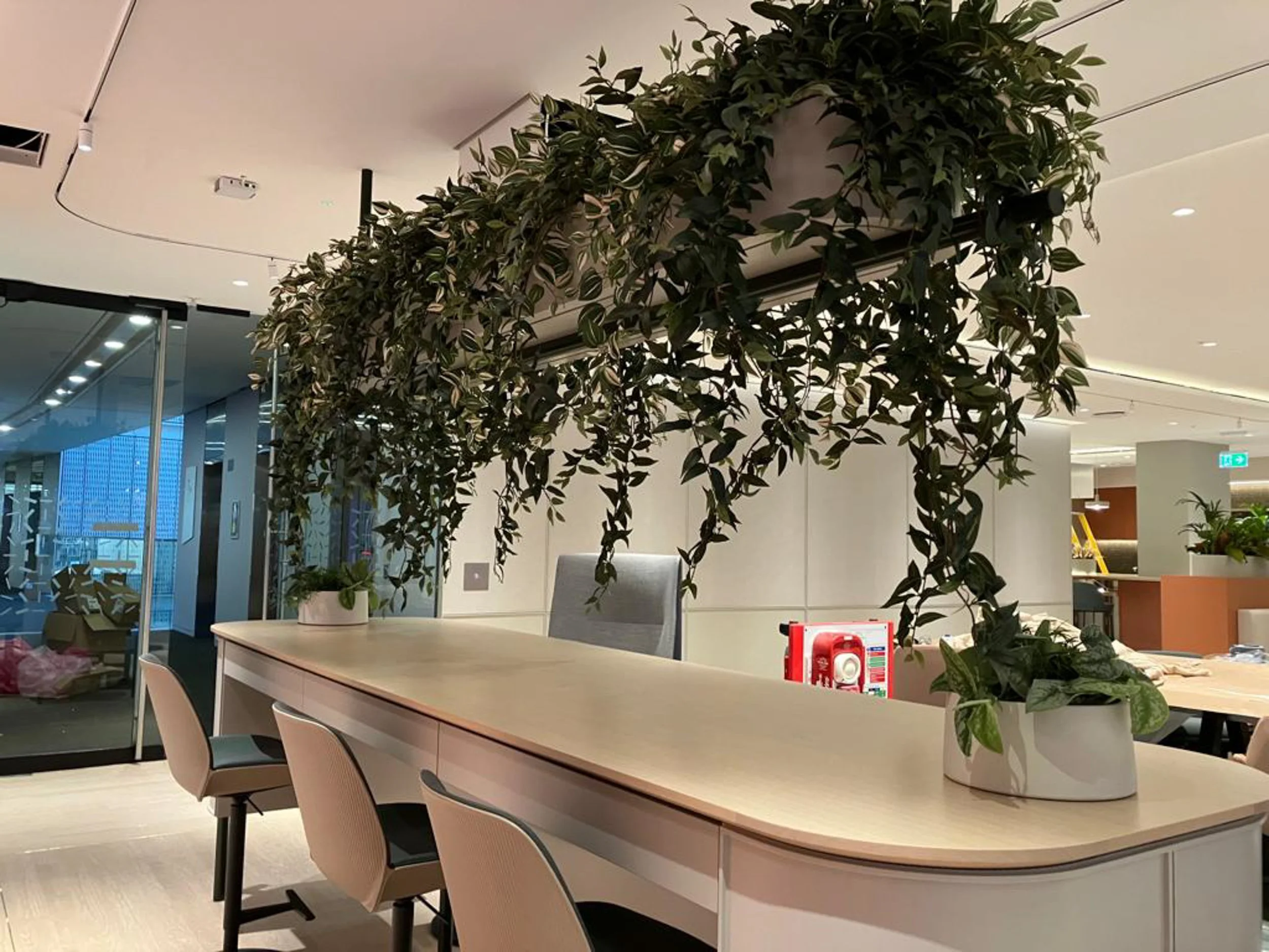 Stewarts_Interior Landscaping_Plants_Workspaces_Hanging Shelving Planting-02.jpg