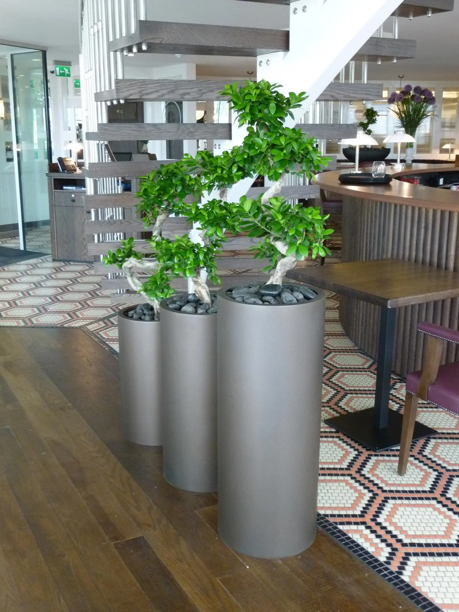 Indoor decor features three tall, cylindrical gray planters with lush green plants, pebbles on top, in a modern space with patterned tile and wooden flooring.