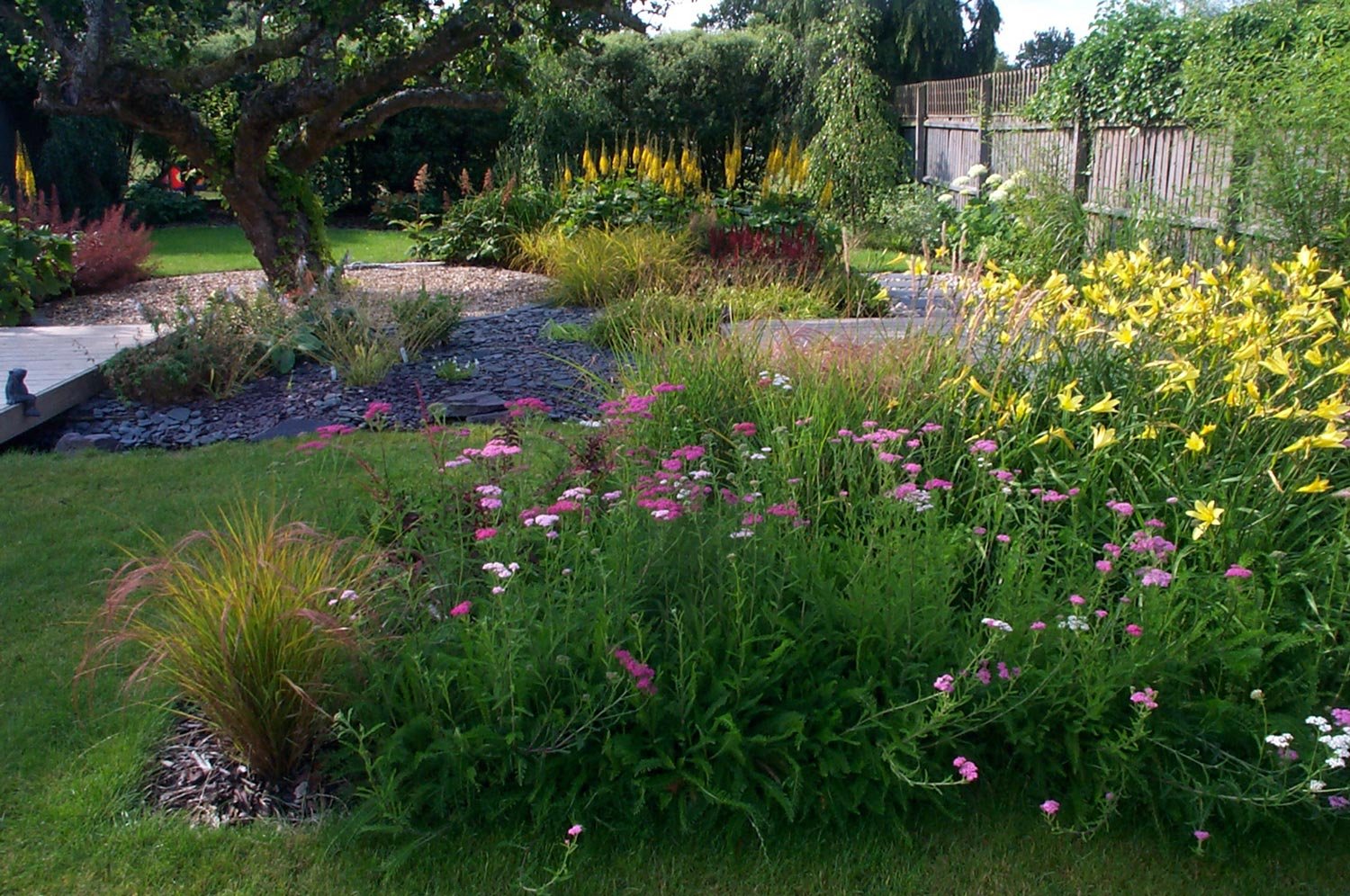 A lush garden with various flowering plants, a twisted tree, a wooden walkway, and a fence in the background.