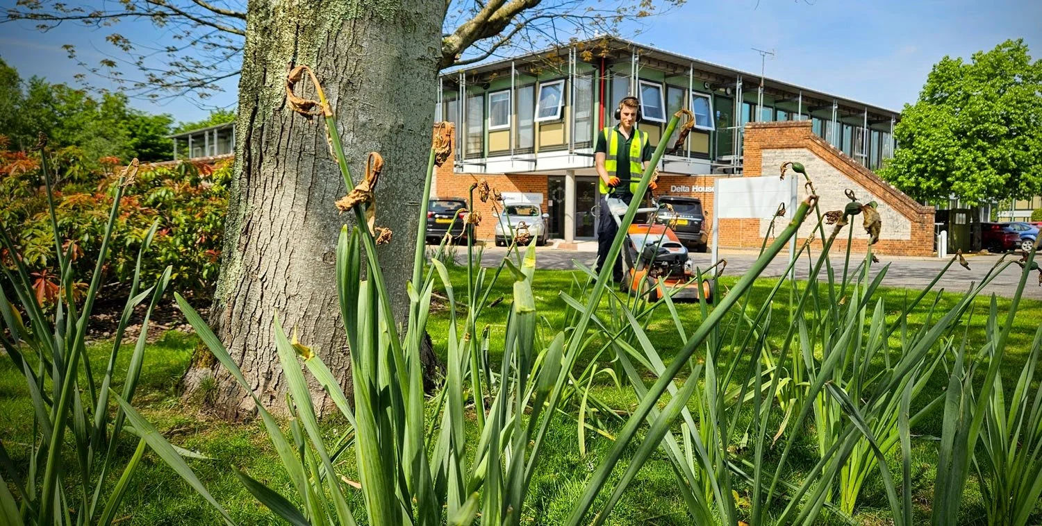 A man wearing a safety vest uses a leaf blower to clear fallen leaves around a tree on a grassy area in front of a modern apartment building, with parked cars and green trees in the background.