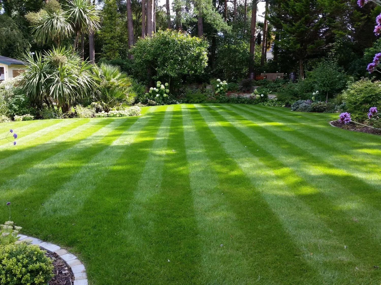 Well-maintained backyard with striped green lawn, surrounded by various bushes, trees, and flowering plants, including purple, white, and green foliage.
