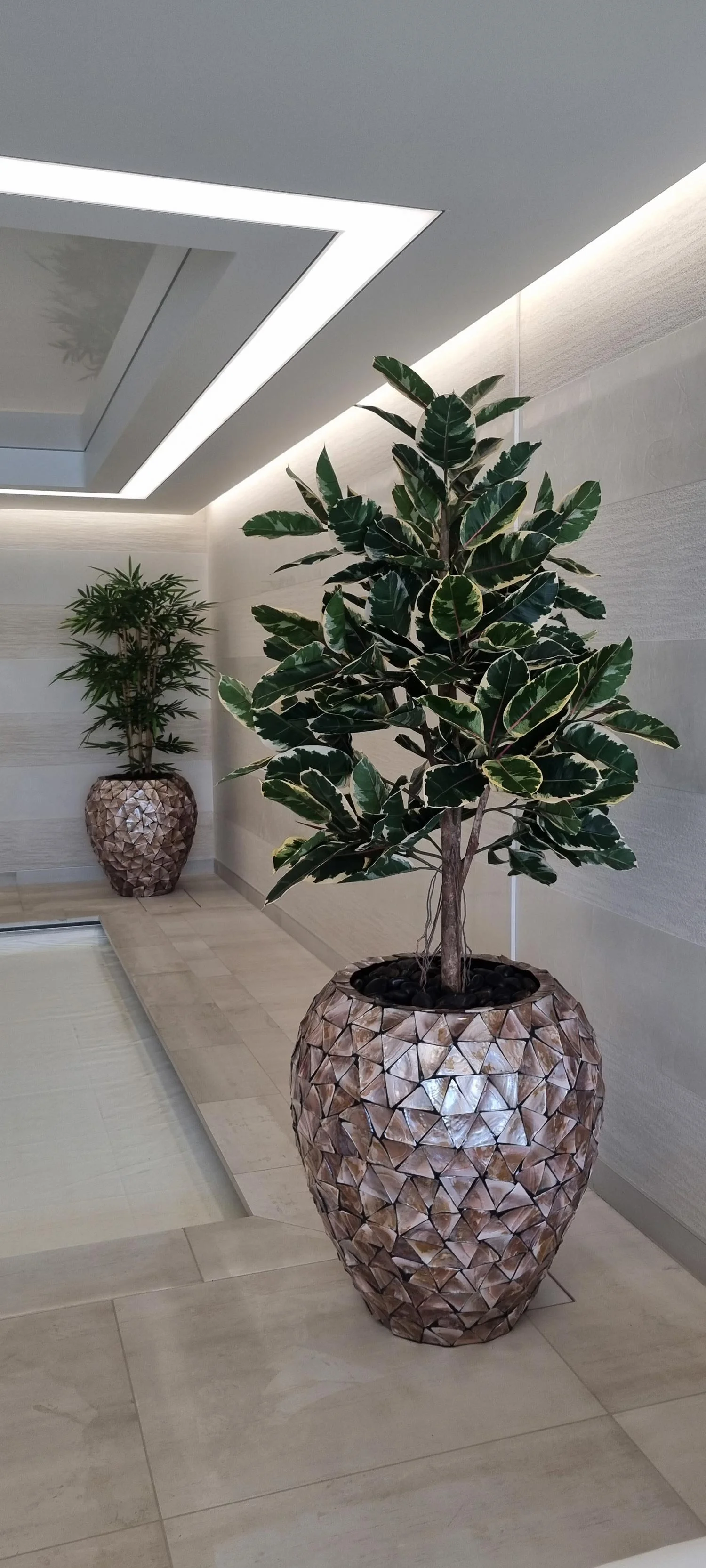 Two potted indoor plants in decorative vases in a modern interior space.