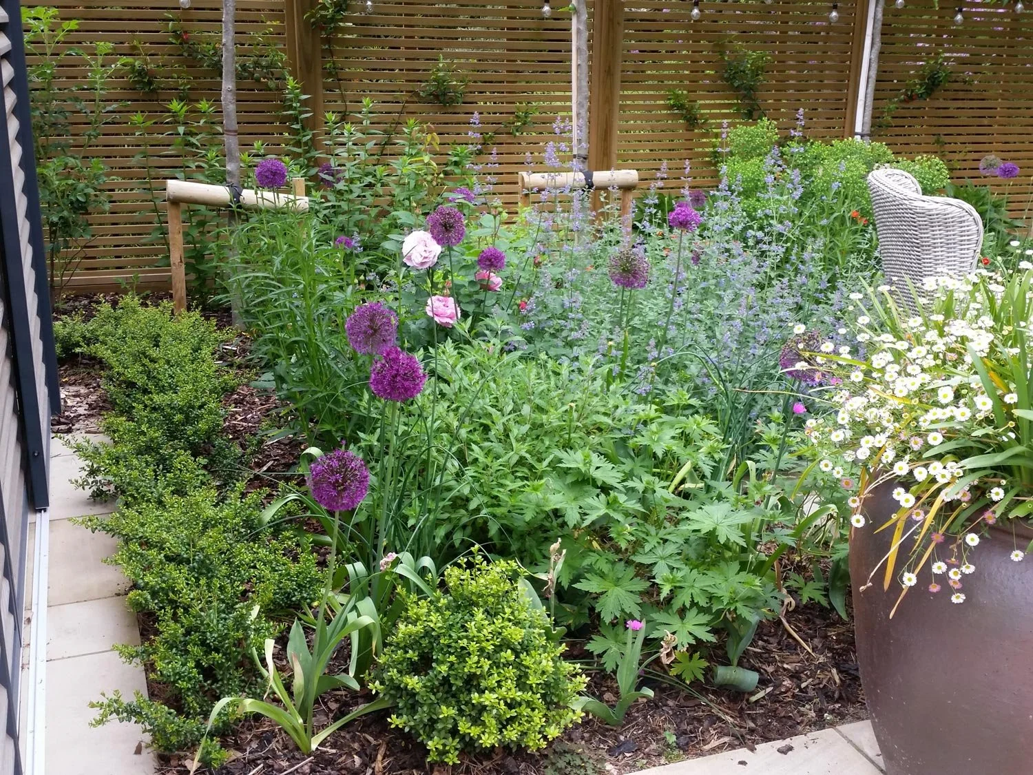 A lush garden in a backyard with various purple, pink, and white flowers, green shrubs, a wooden privacy fence, and a white wicker chair on the right side.