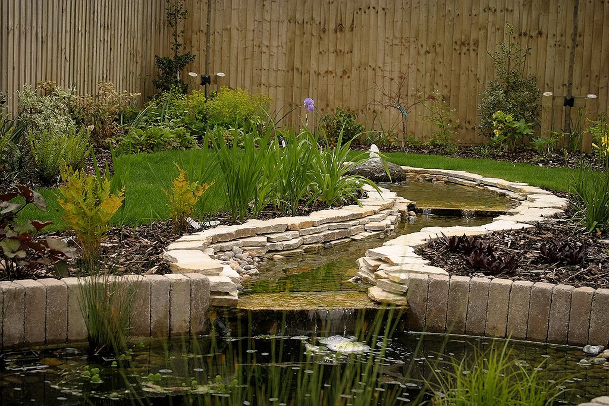Stewarts_Exterior_Landscaping_Garden Pond Water Feature-23.jpg