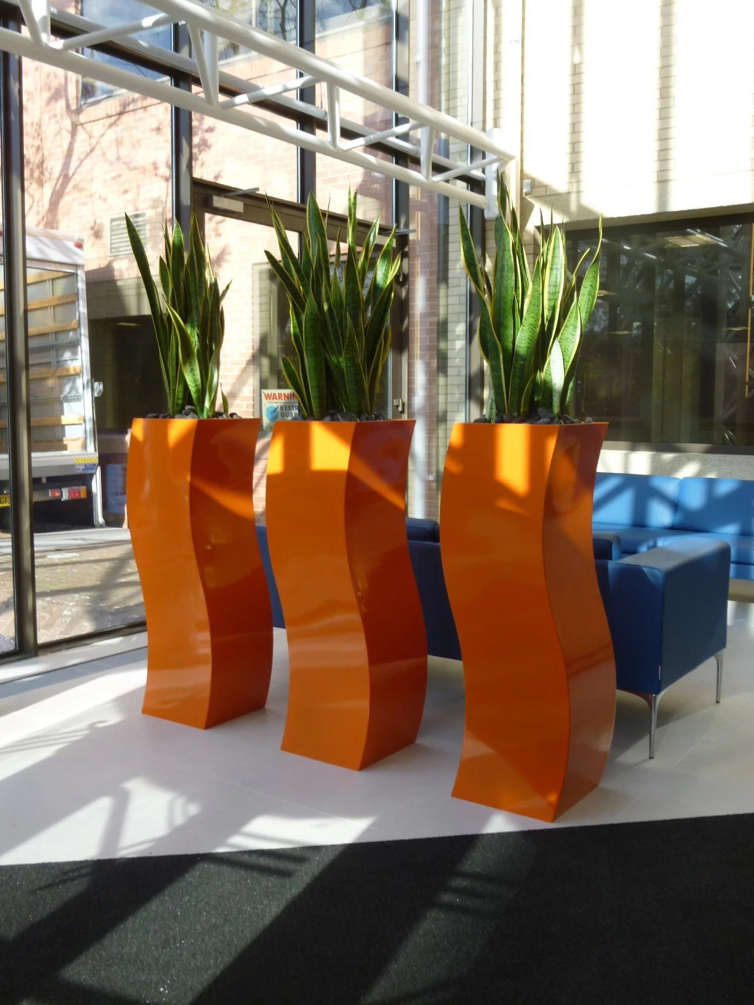 Three tall orange curvy planters with green snake plants inside, sitting in a brightly lit indoor space with glass walls and blue seating nearby.