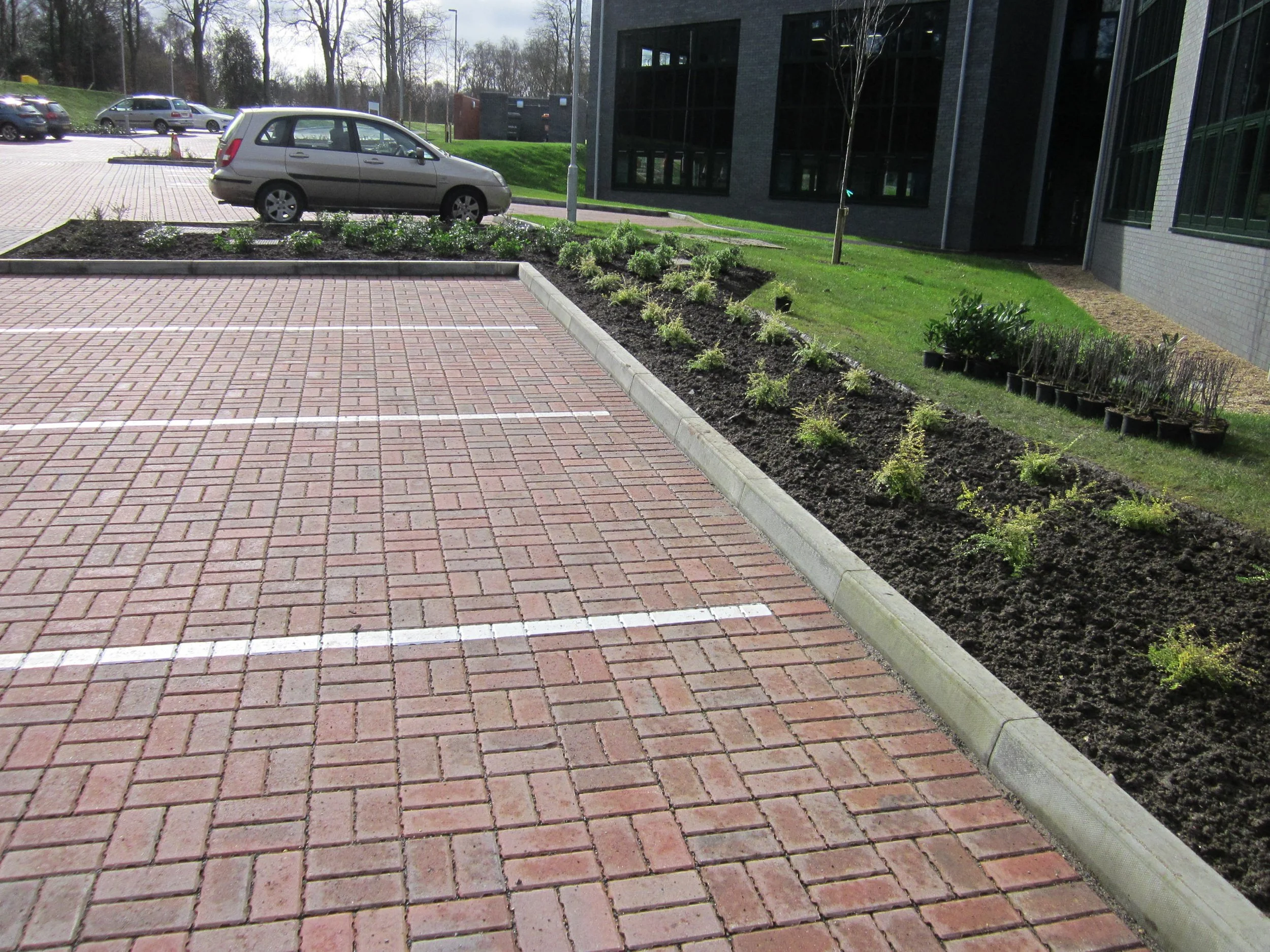 Stewarts_Exterior_Landscaping_Boarders Planting Soft Landscaping-044.jpg