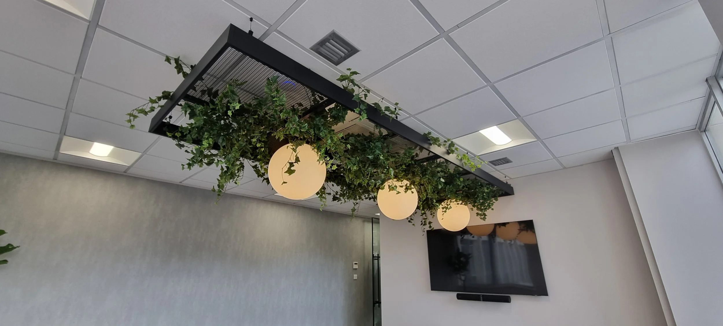 Stewarts_Interior Landscaping_Plants_Workspaces_Hanging Shelving Planting-39.jpg