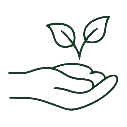 Illustration of a hand holding a small plant with two leaves.