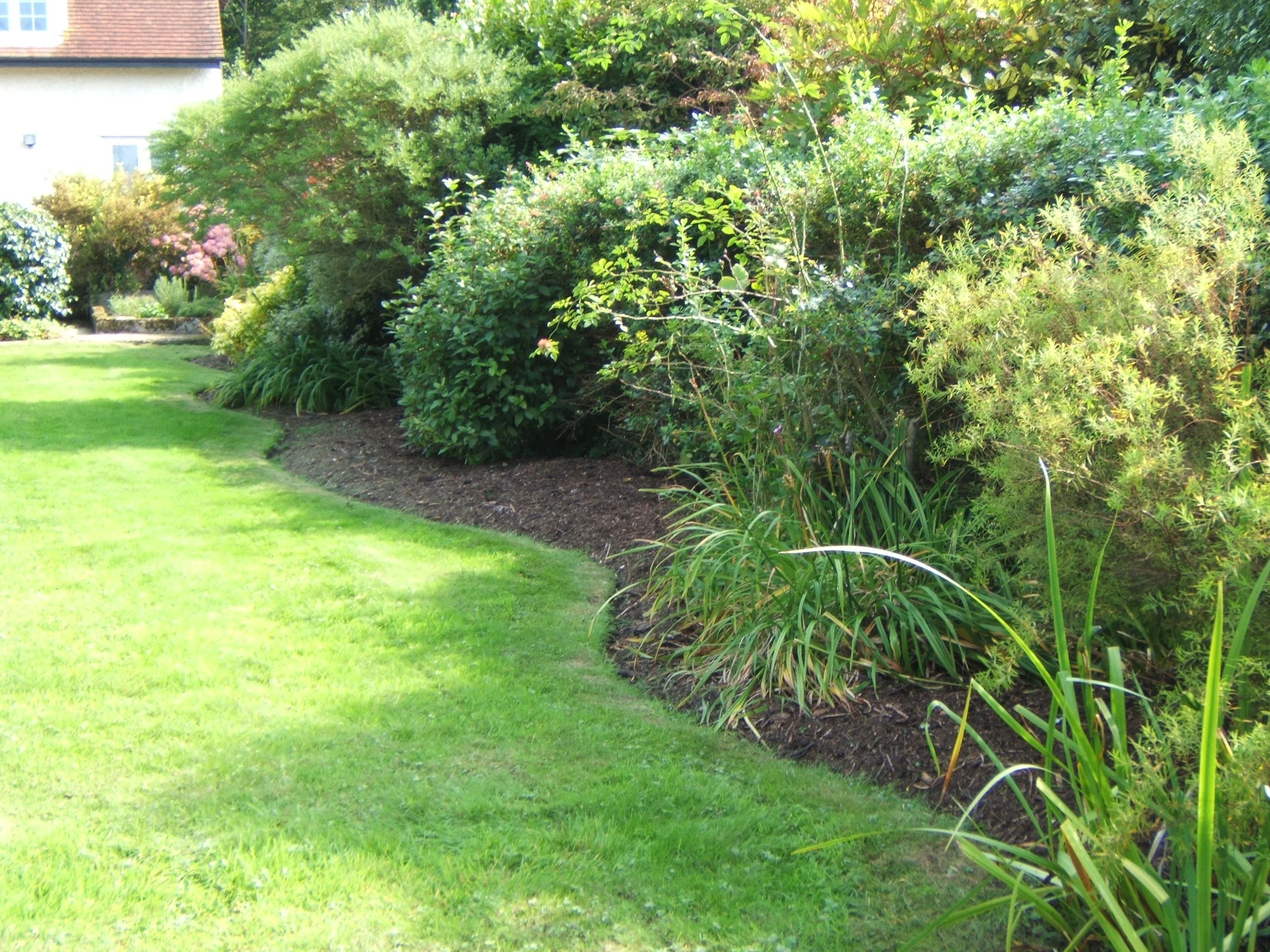 Stewarts_Exterior_Landscaping_Garden Border Lawn Edging-14.jpg