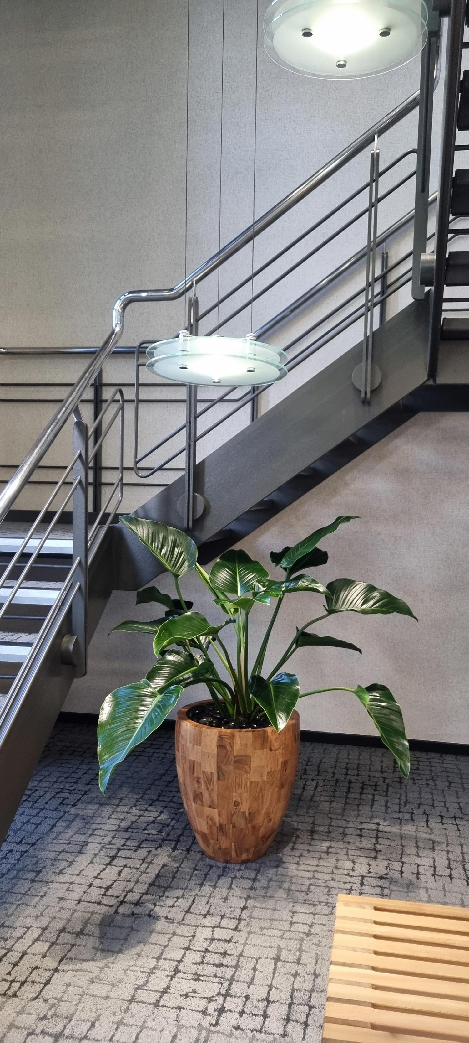 Indoor scene of a modern office or building lobby featuring a green potted plant in a wooden planter in the foreground, and a metal staircase with railings and glass lighting fixtures above.