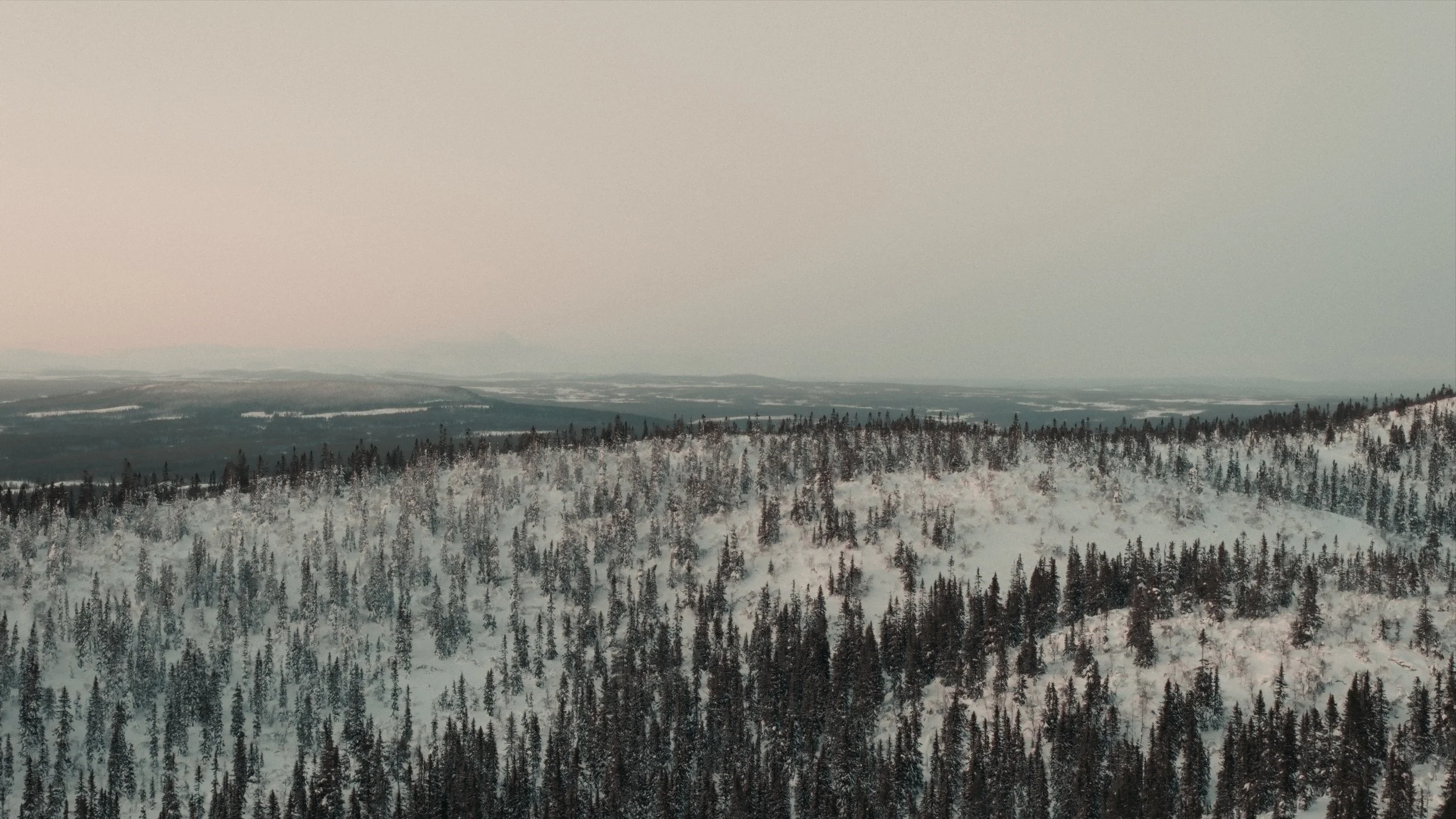 BBXmas_24_Drone_1.8.1.jpg