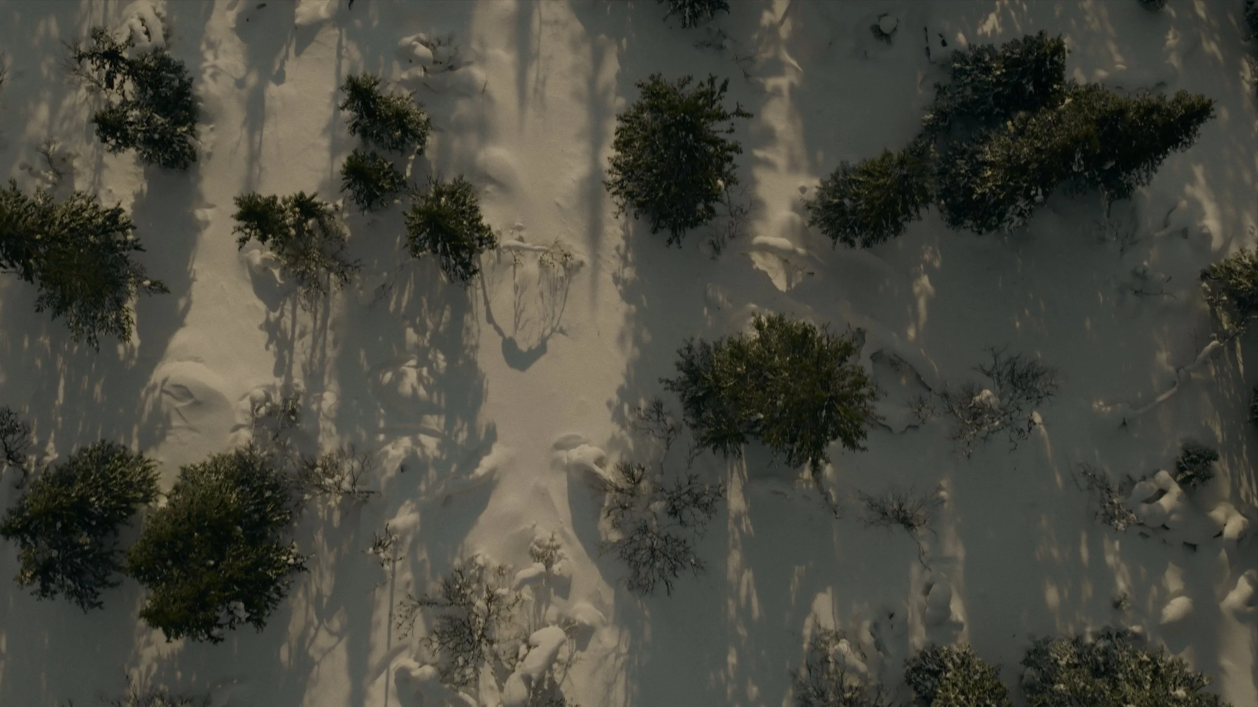 BBXmas_24_Drone_1.6.1.jpg