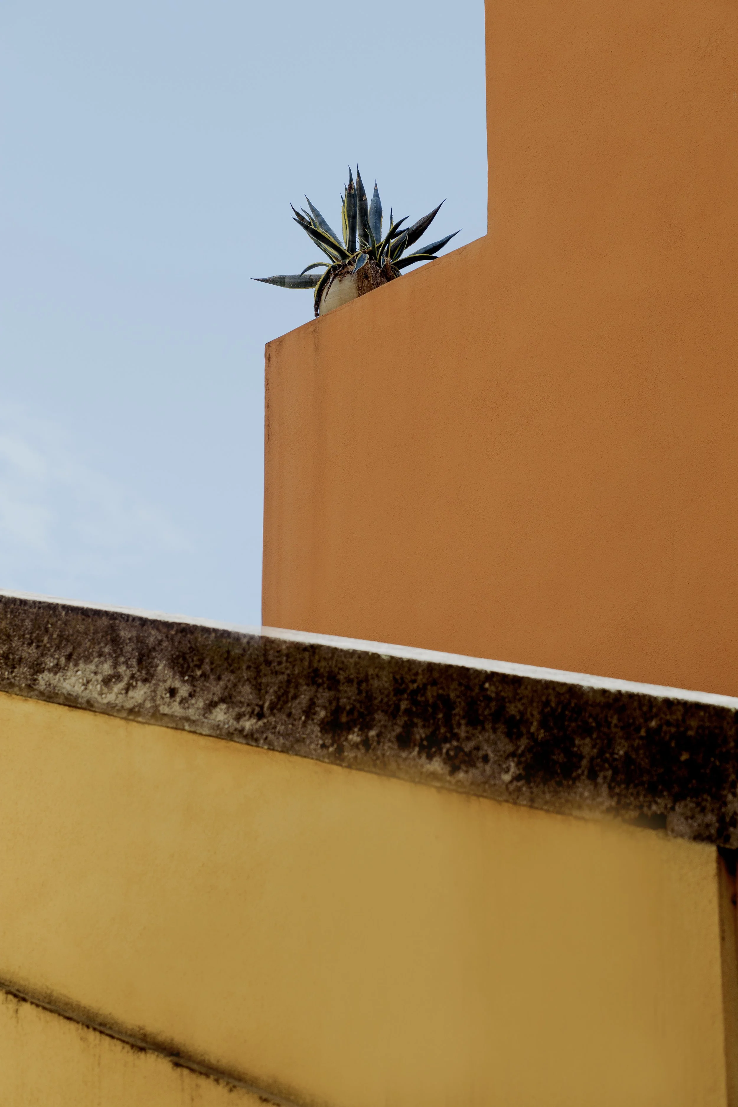 MENTON_002.jpeg