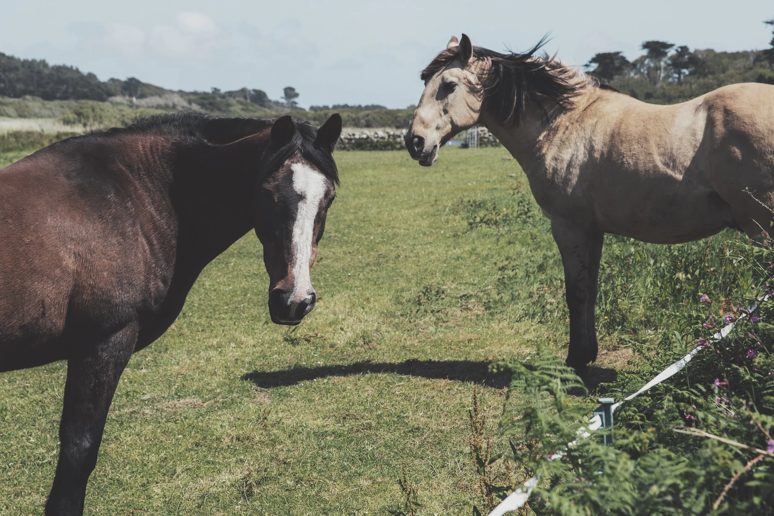 IsleOfScilly_D_2.jpeg