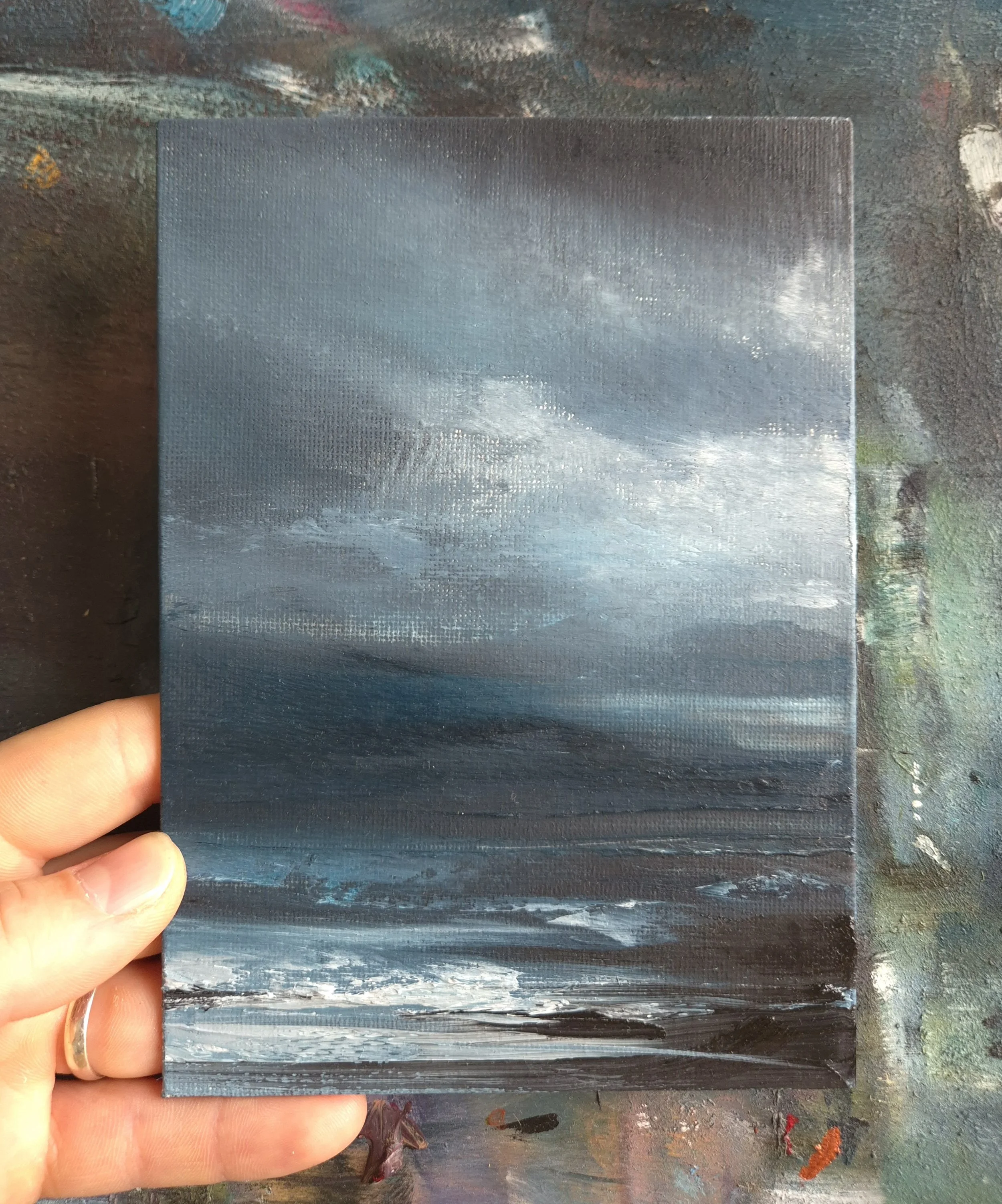 Oil Study 2026-08