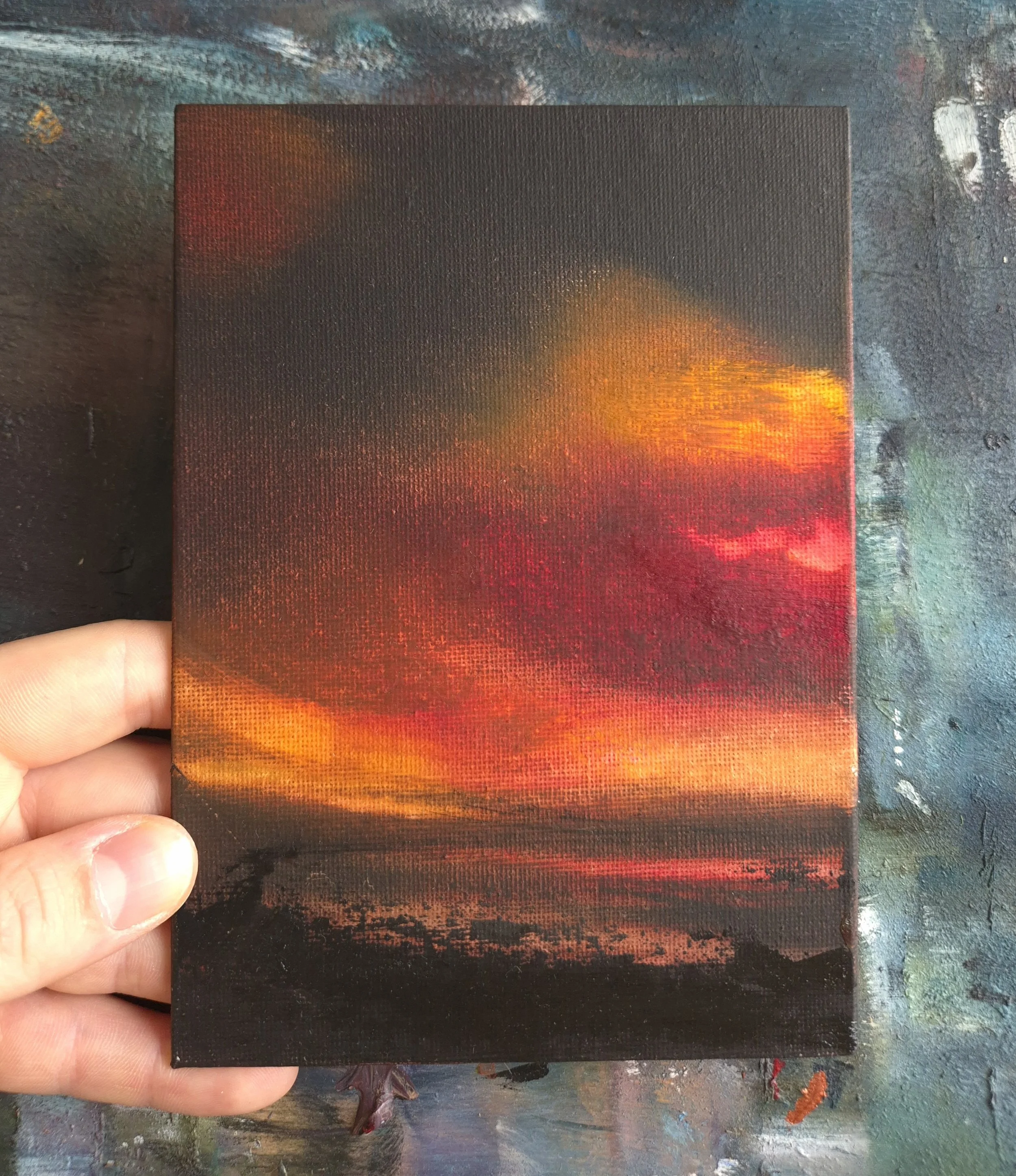 Oil Study 2026-09