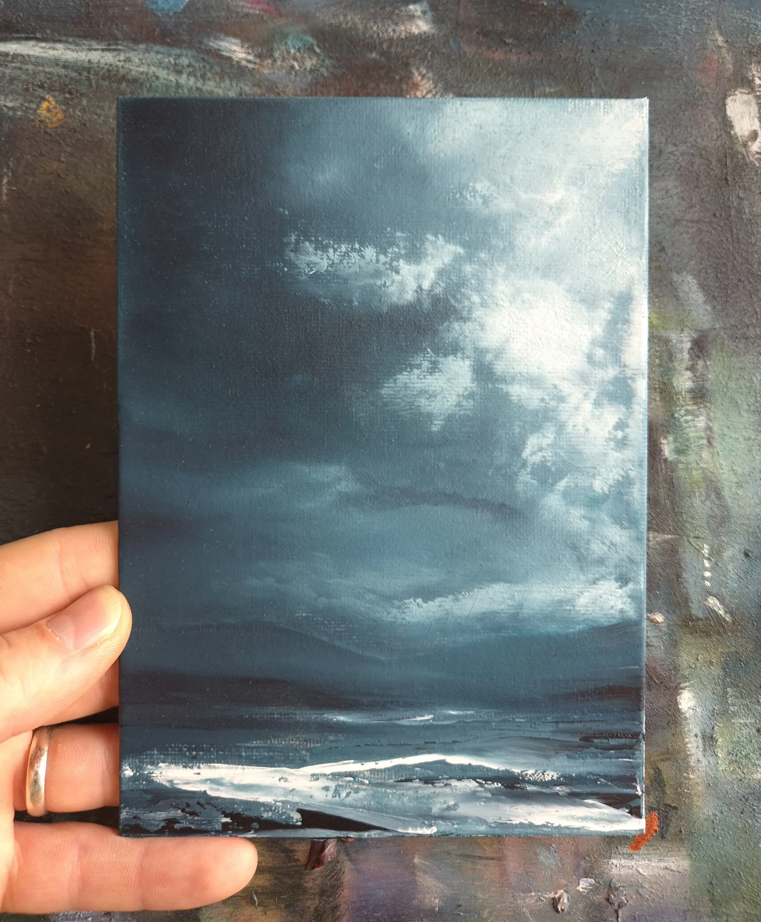 Oil Study 2026-12
