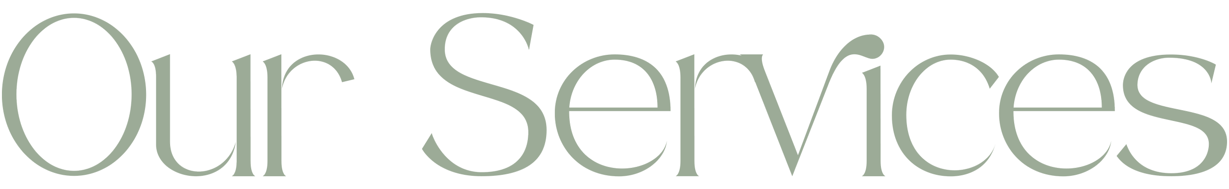 Text that reads 'Our Services' in a stylised font.