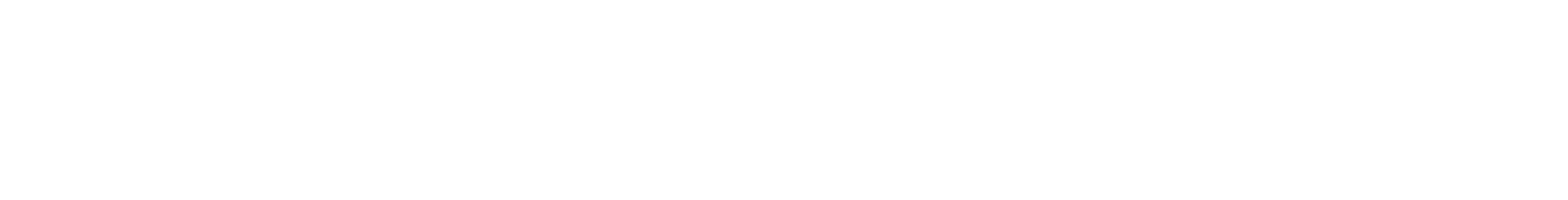 Text saying 'Developer Solutions' in a stylised font.