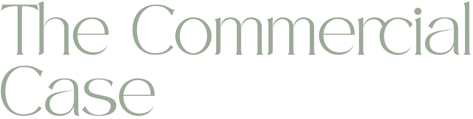 Text saying 'The Commercial Case' in a stylised font.