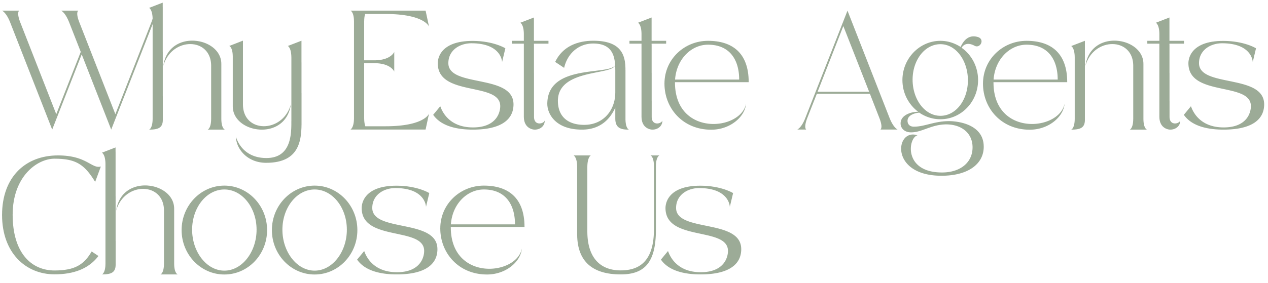 Text that reads, 'Why Estate Agents Choose Us' in a stylised font.