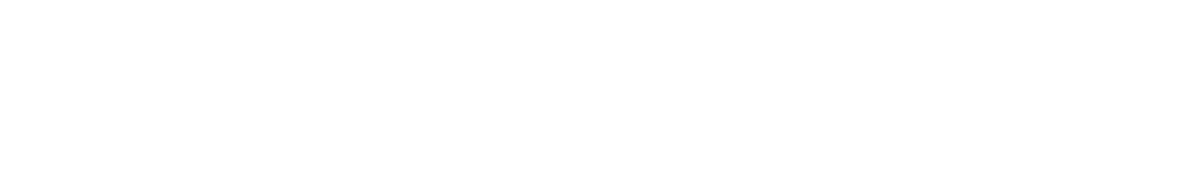 Text that says "What We Do" in a stylised font.