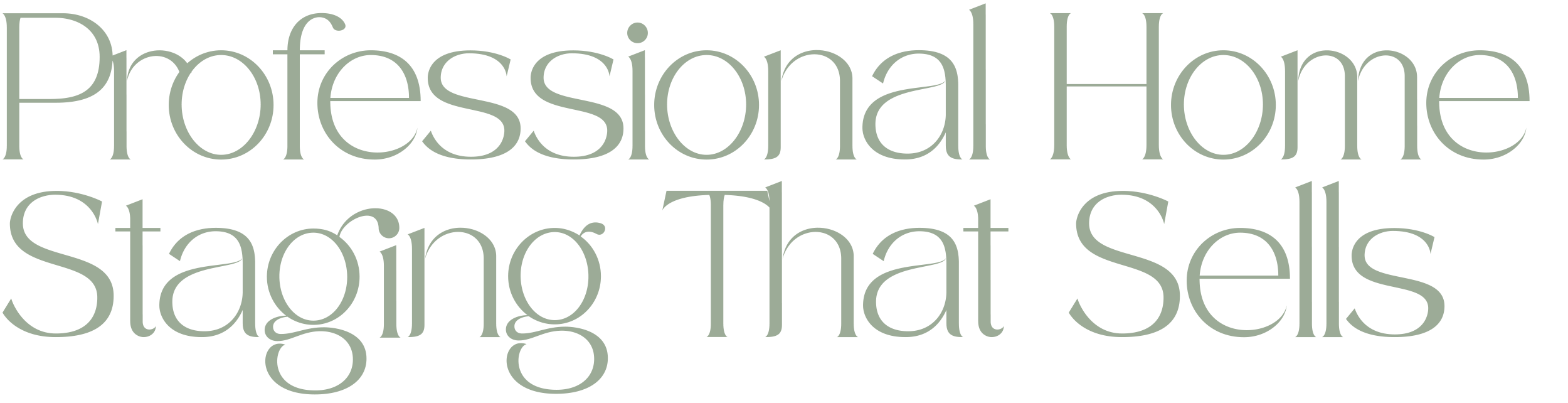Text saying 'Professional Home Staging That Sells' in a stylized font.