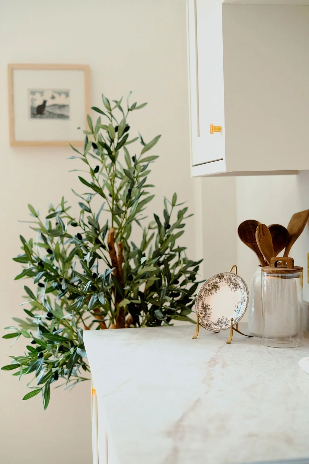 Olive tree in staged kitchen. Cream kitchen units with stone effect worktop