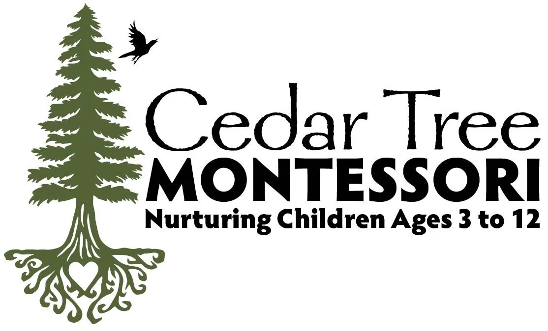 Lower Elementary Montessori Lead Teacher