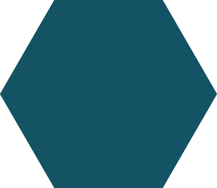 Montessori shapes: navy hexagon.