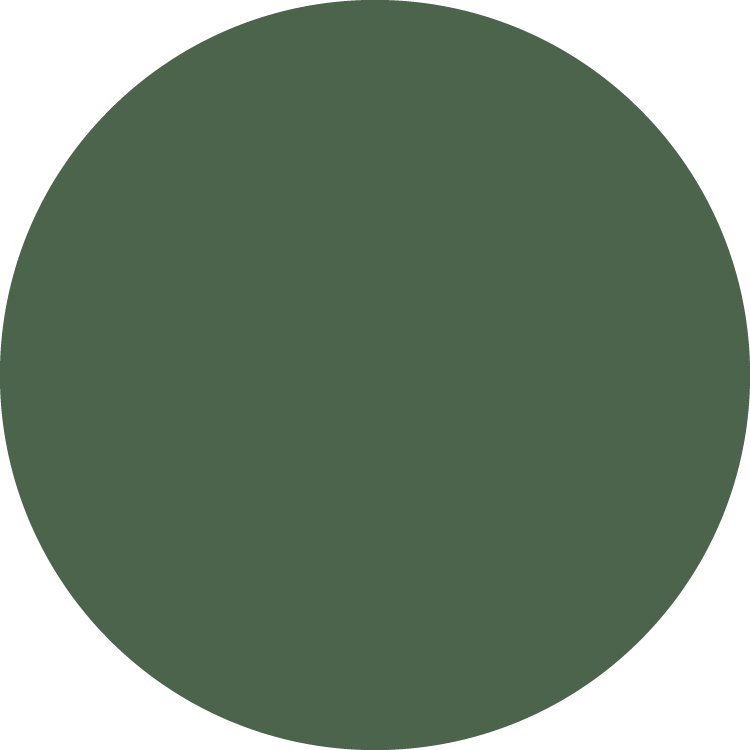 Montessori shapes: dark green circle.