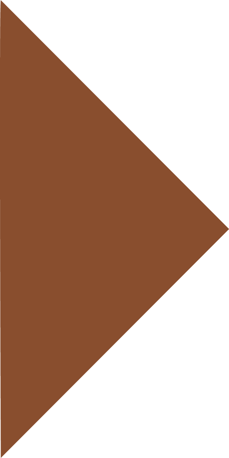 Montessori shapes: rust triangle.