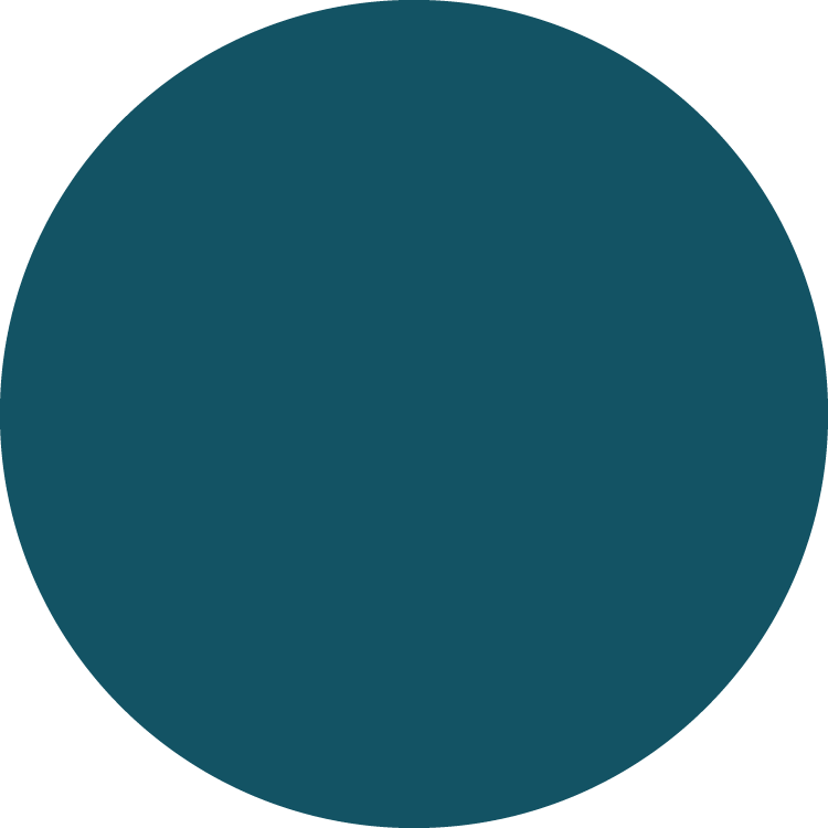 Montessori shapes: navy circle.