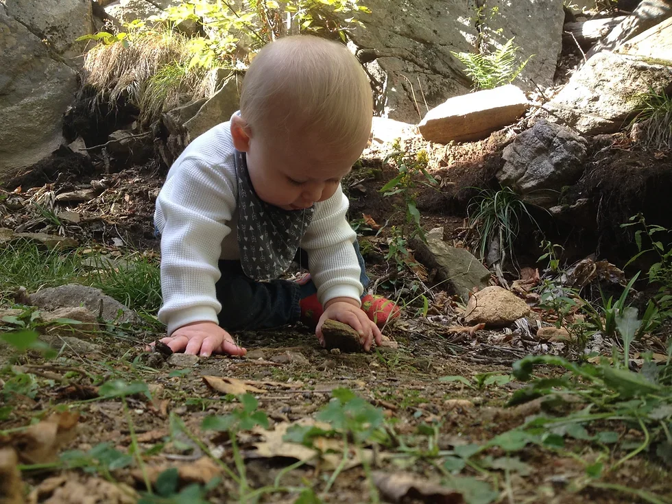 A young child with blond hair crawling on the ground outdoors, surrounded by rocks and plants.