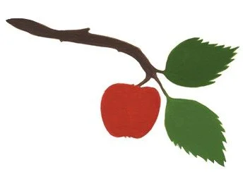 branch with an apple and two green leaves