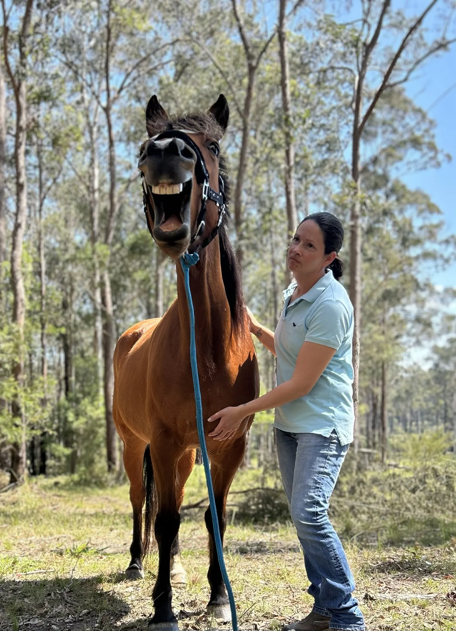 What Is Equine Bodywork and How Can It Help Your Horse?