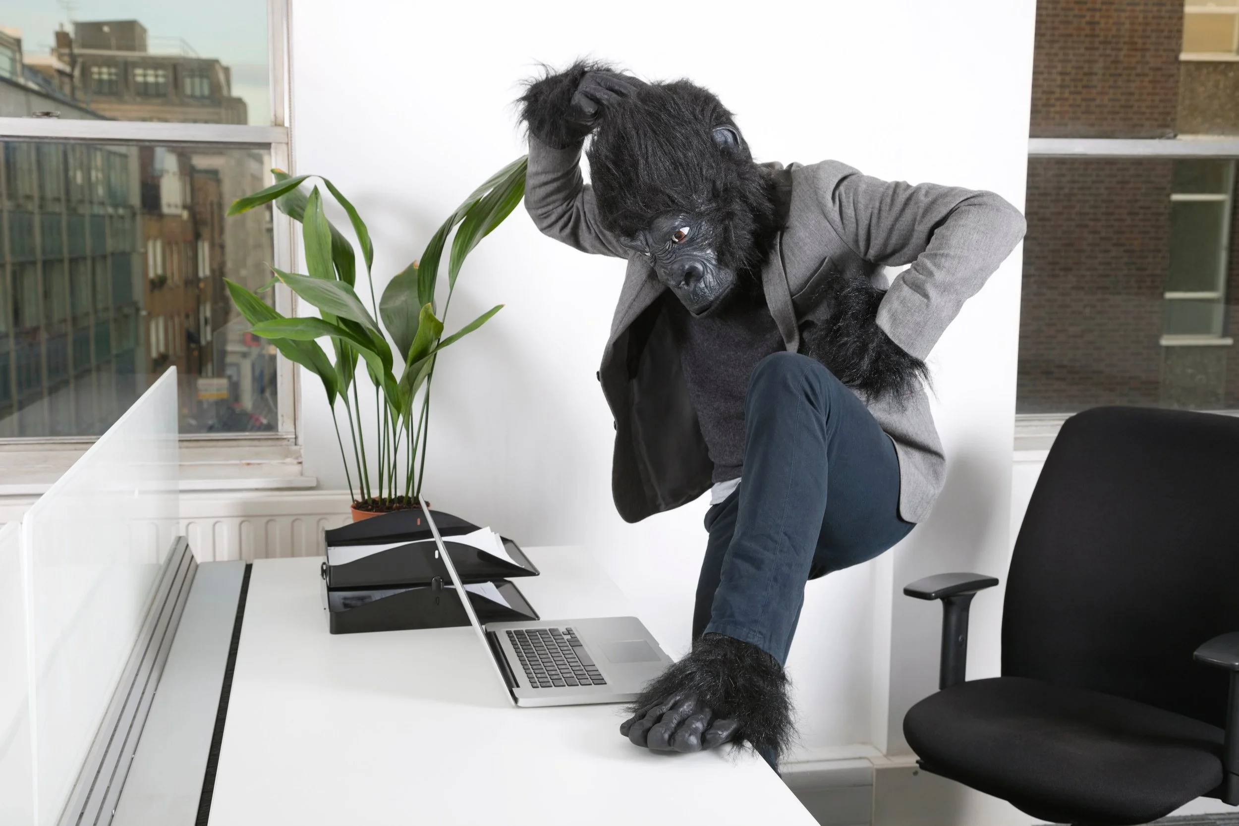 Is There a Gorilla on Your Project?