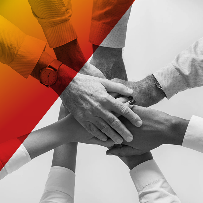 We delivered a modern e-enabled web-based system to drive purchasing behaviours